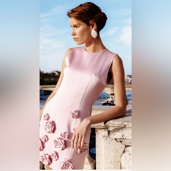 NDS The Label rose appliqué cady mini dress worn only once - Picture 3 of 4